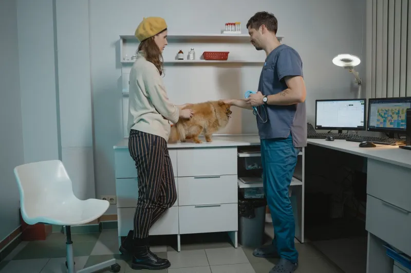 Fido's Vet Bill Is Bigger Than Your Rent, and That's No Accident